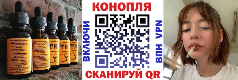 Купить закладки  Ершов  Печенье с ТГК марихуана 
