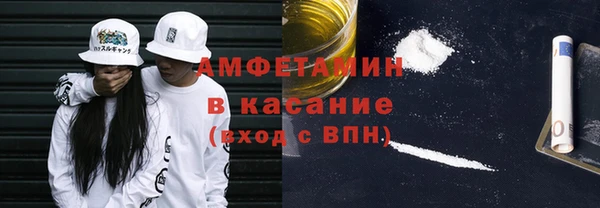 сатива Карпинск