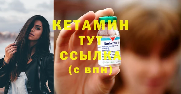 сатива Карпинск