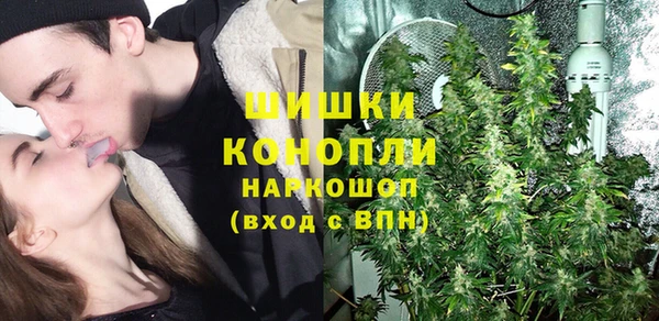 spice Каменка
