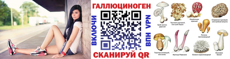 Купить где  Ершов  Псилоцибиновые грибы Psilocybine cubensis 